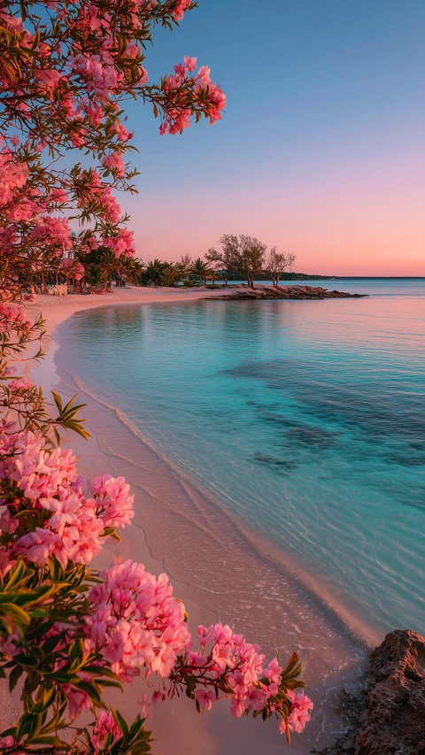 coast, tropics Hintergrundbilder