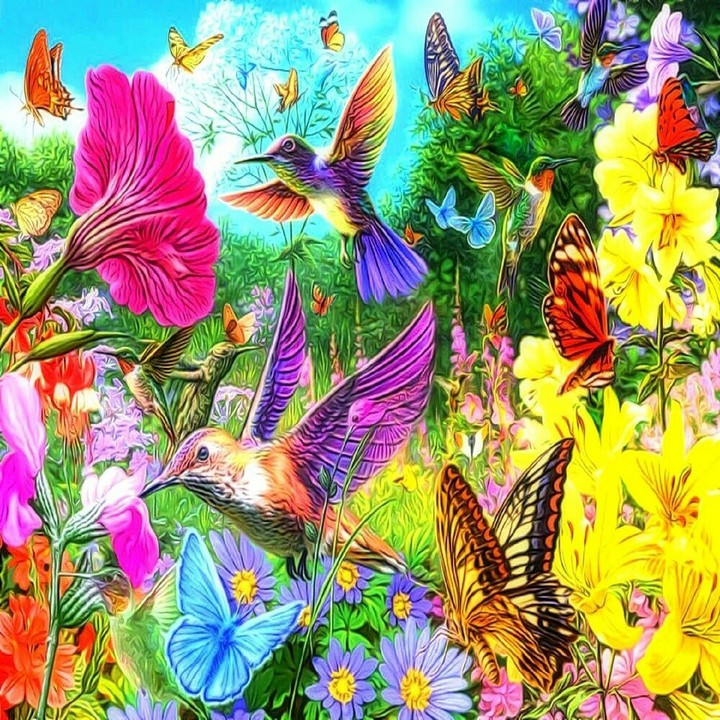 Birds Flowers & Butterflys