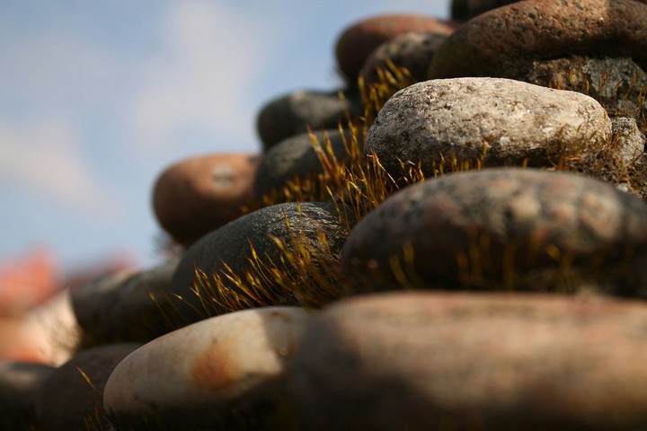 the stones