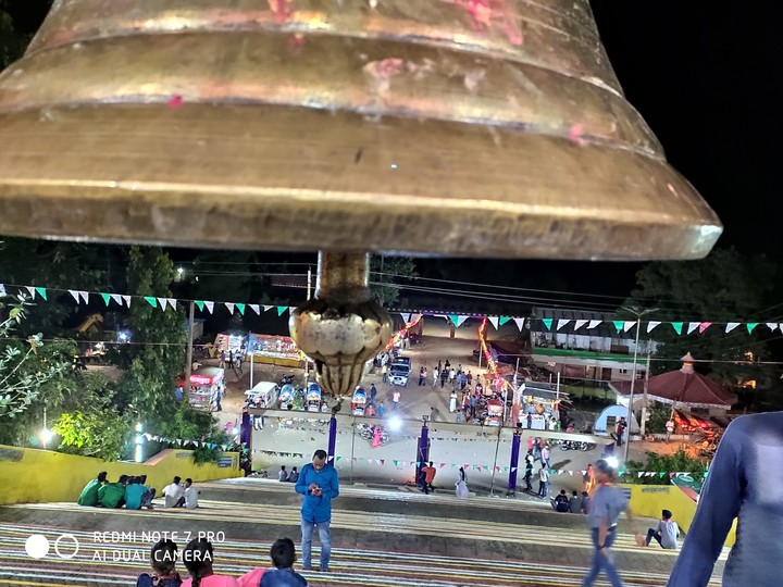 bell views