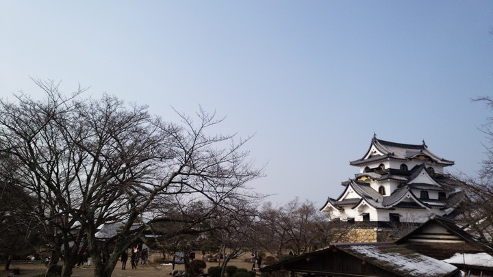 彦根城