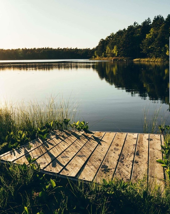 lac