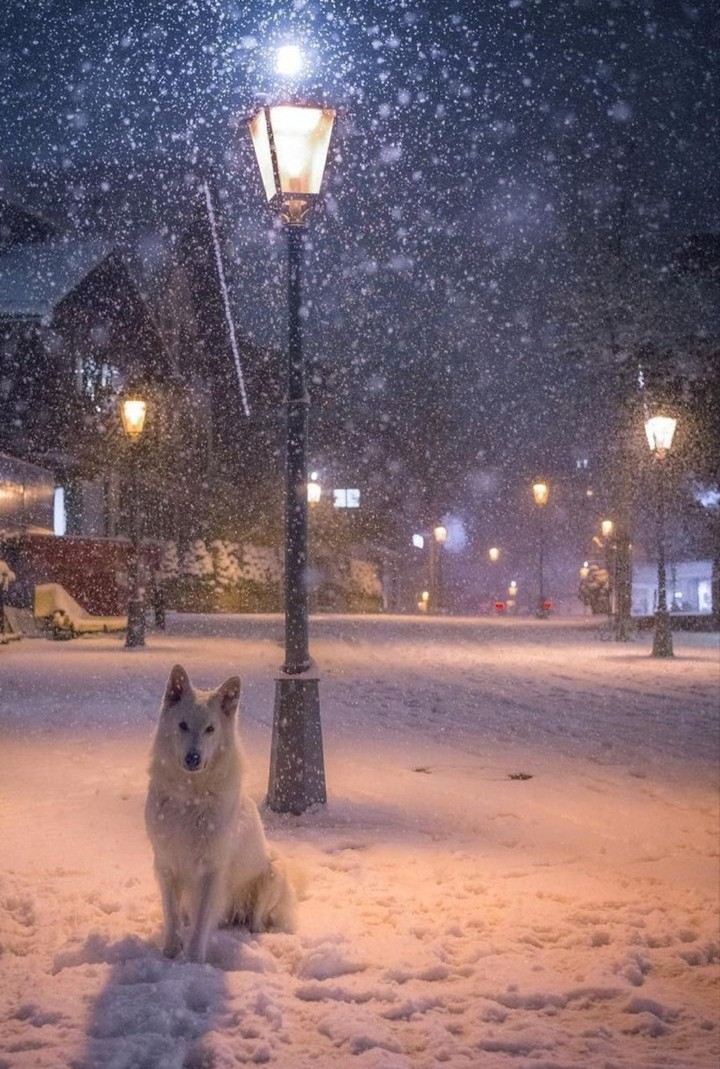 Winter