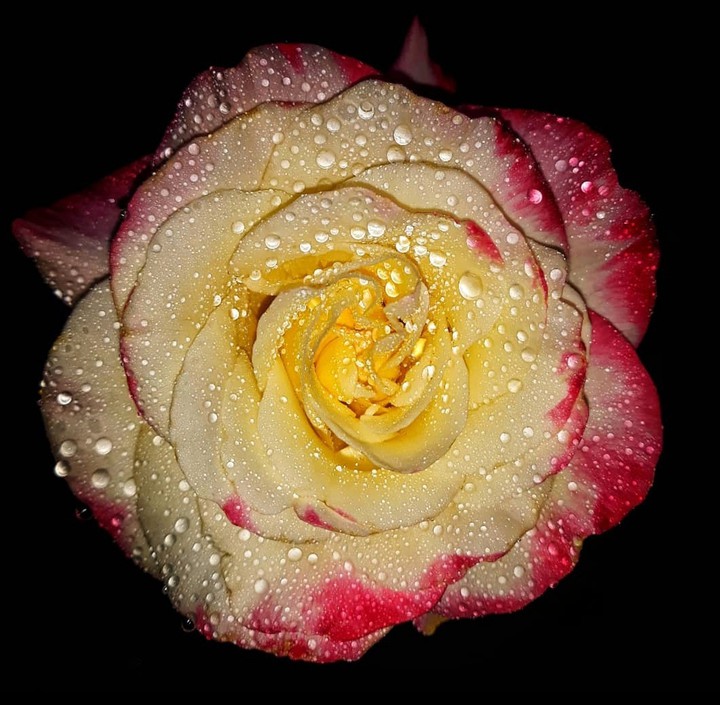 Droplets