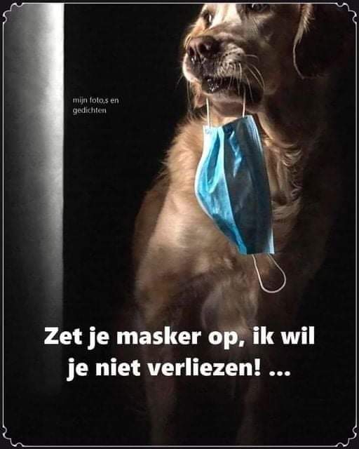 leventeksten