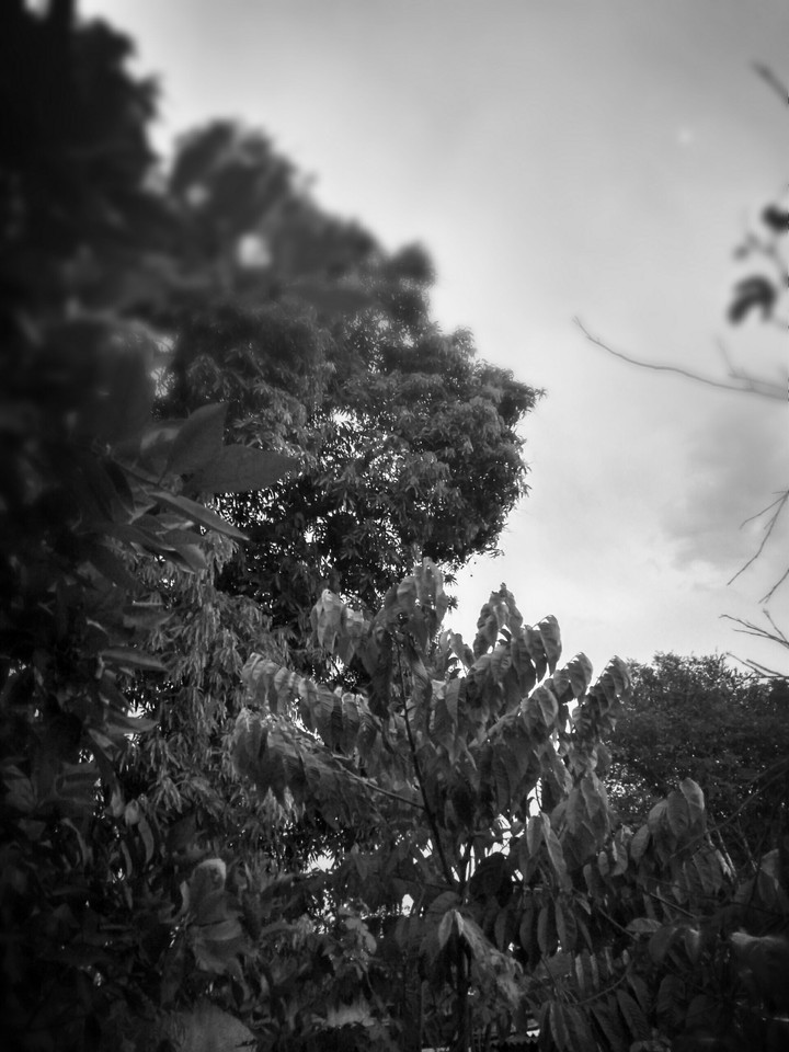 Natureza