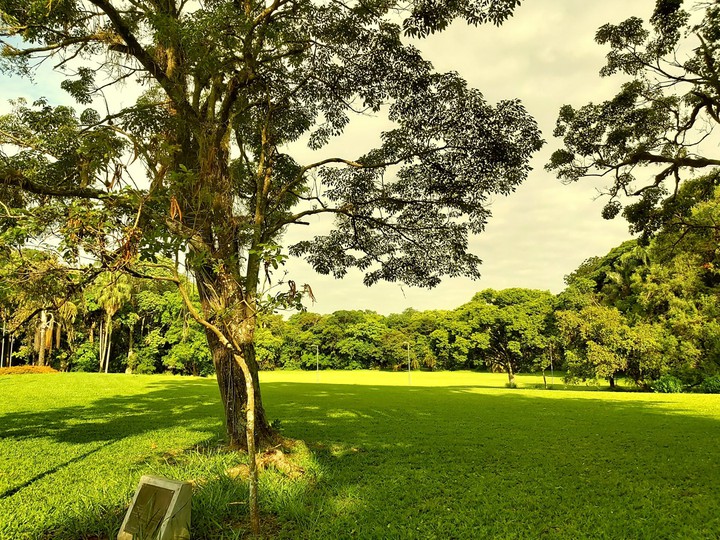 Campo Verde