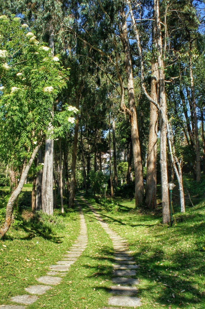 Green way