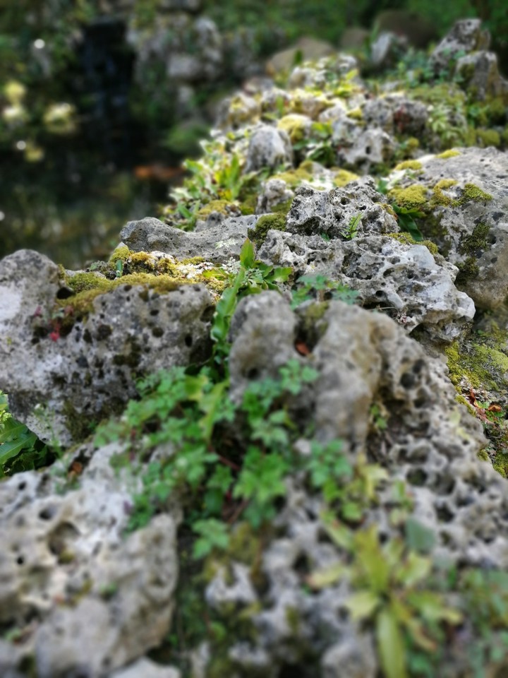 rocks