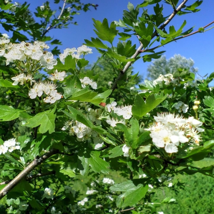#Україна #весна #spring