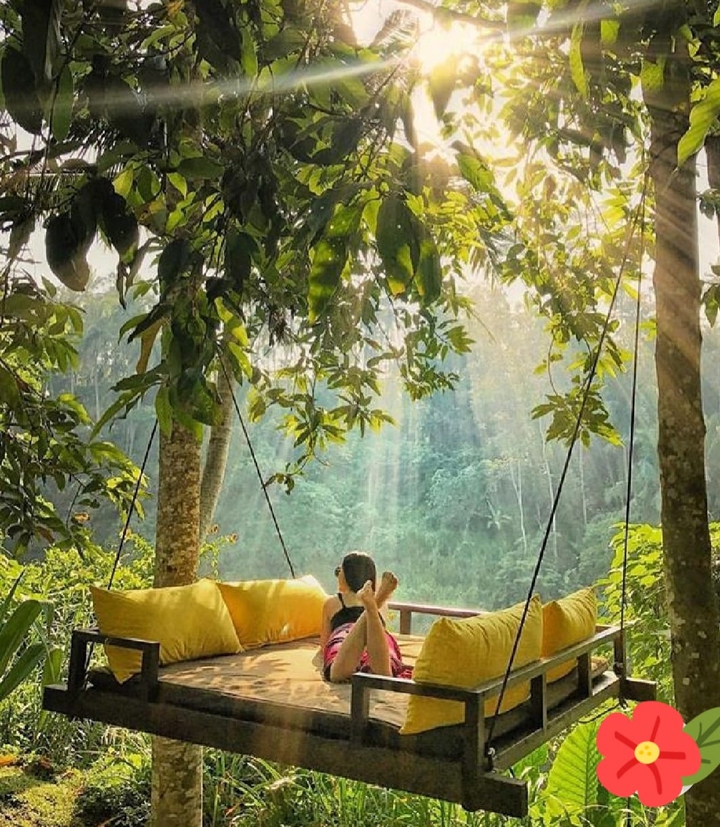 forest