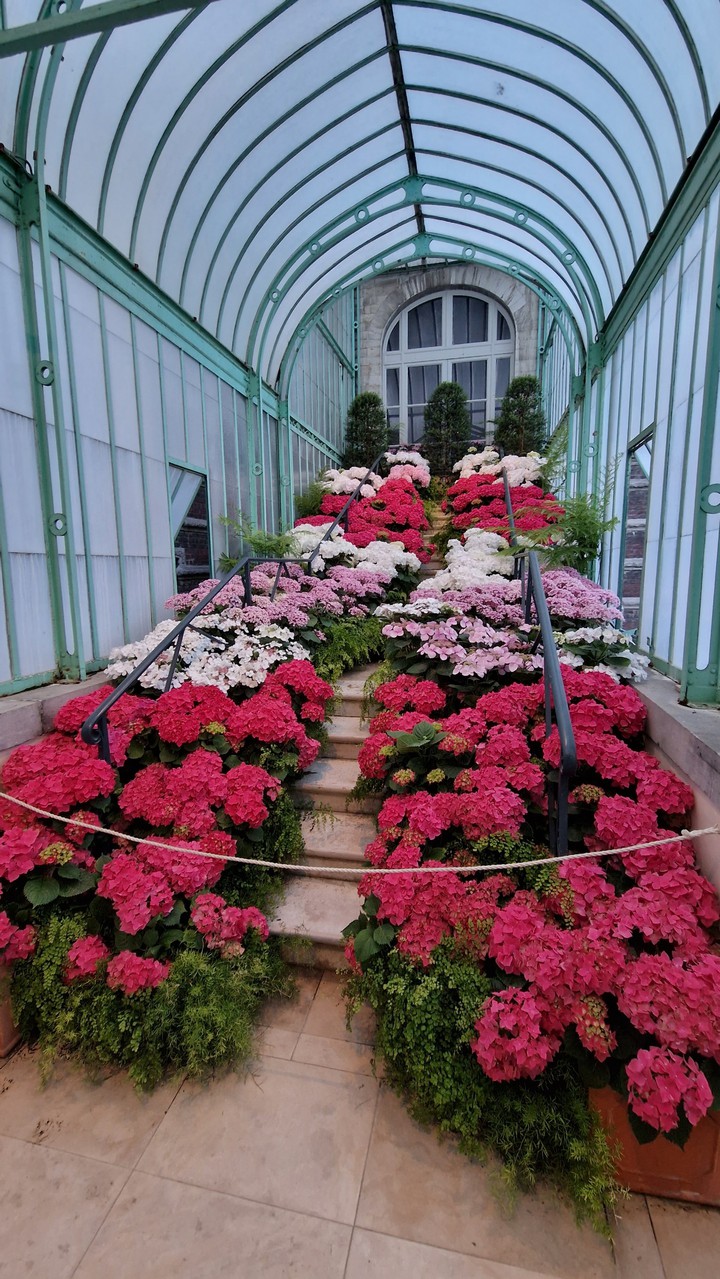 Flower stairs