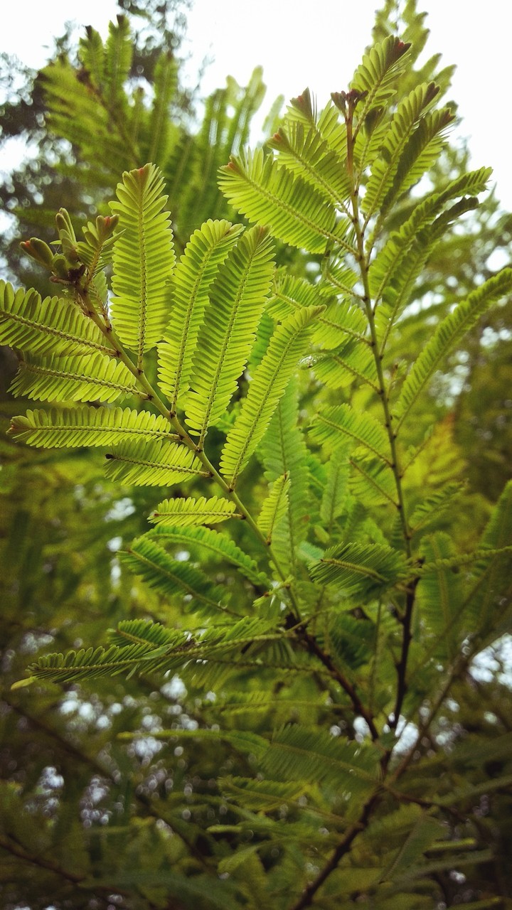 Nature love