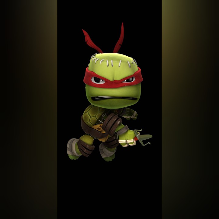ninja