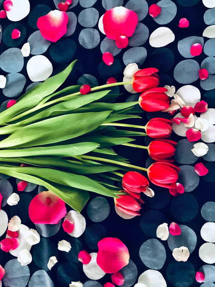 Beautiful Flowers