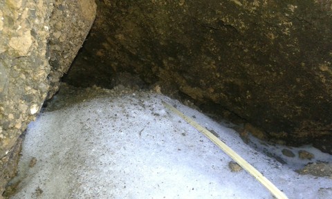 CaVe