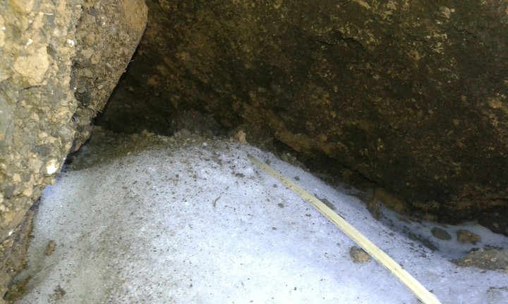CaVe