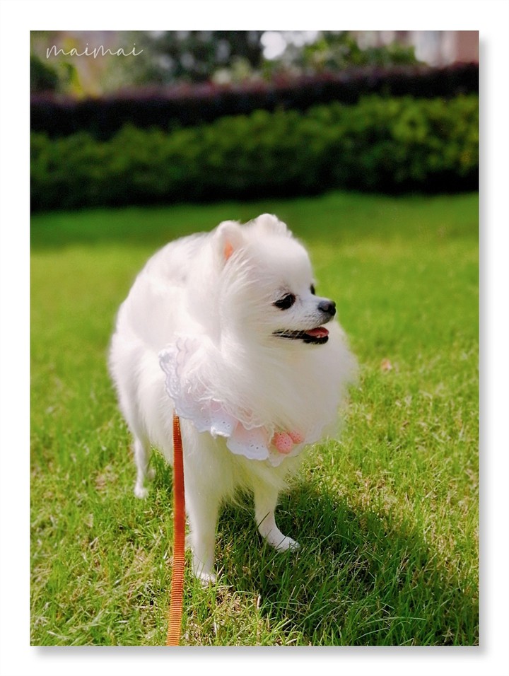 ´•ᴥ•`❤