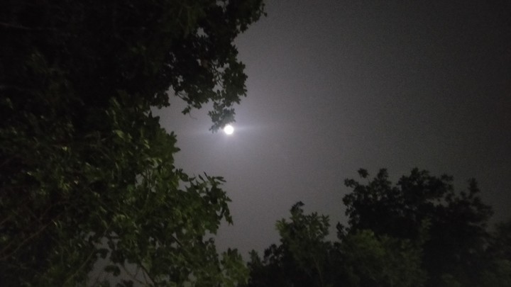 night