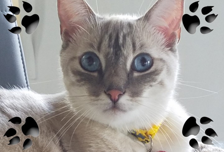 Nina