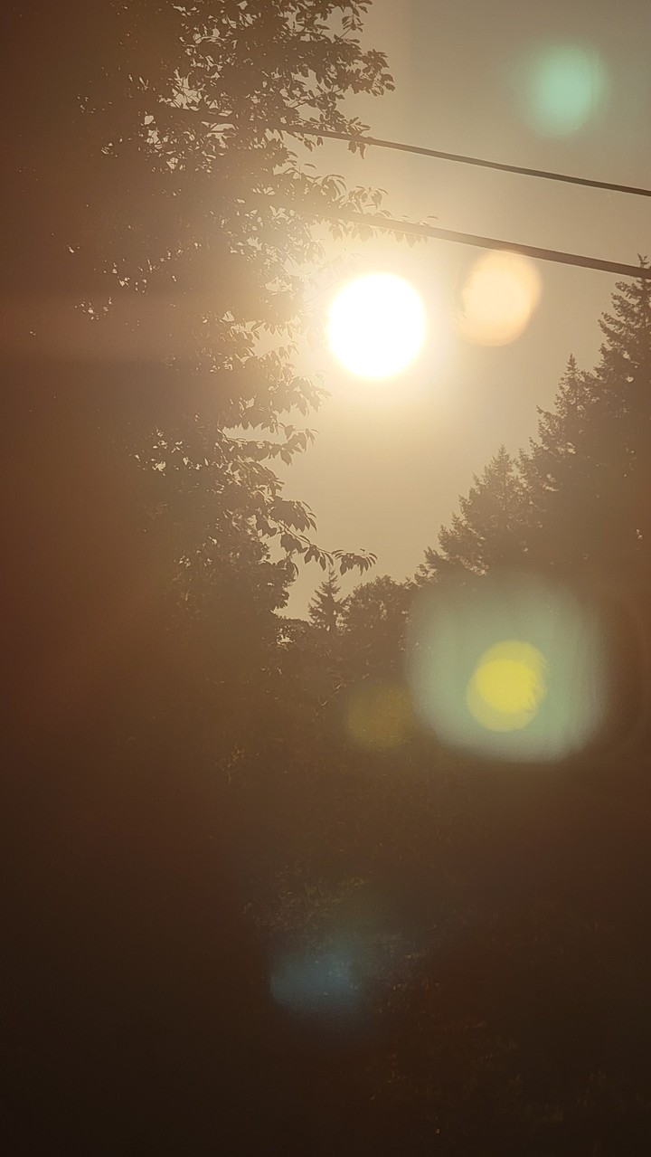 Sunset pt.1