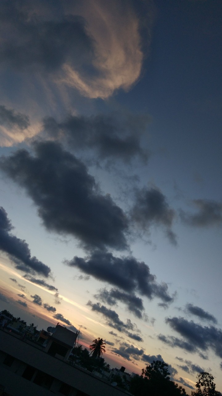 view