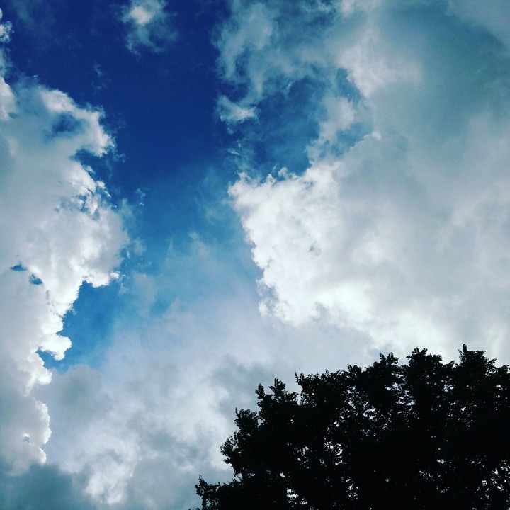 White Silence