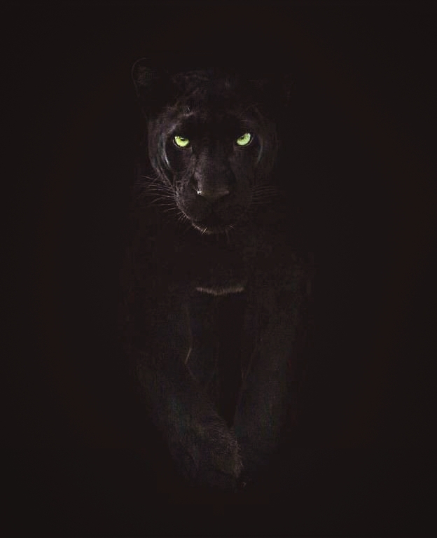 Black Panther