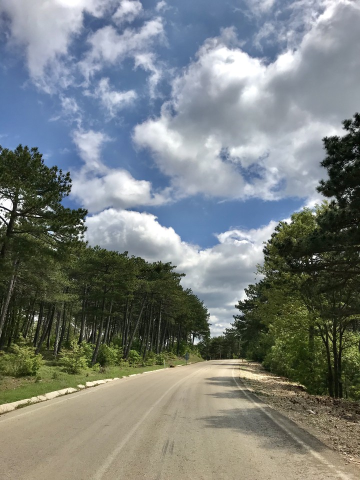 route