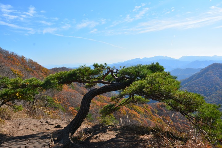 풍경이미지