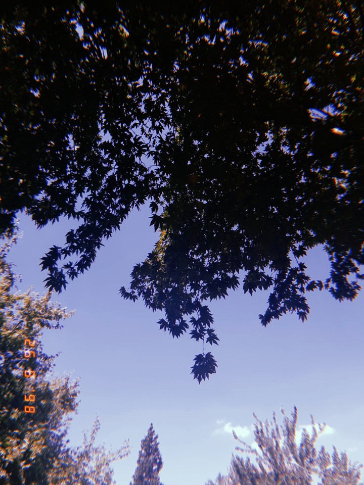 huzur