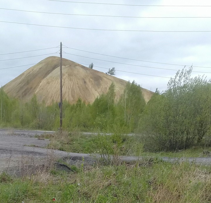 терекон