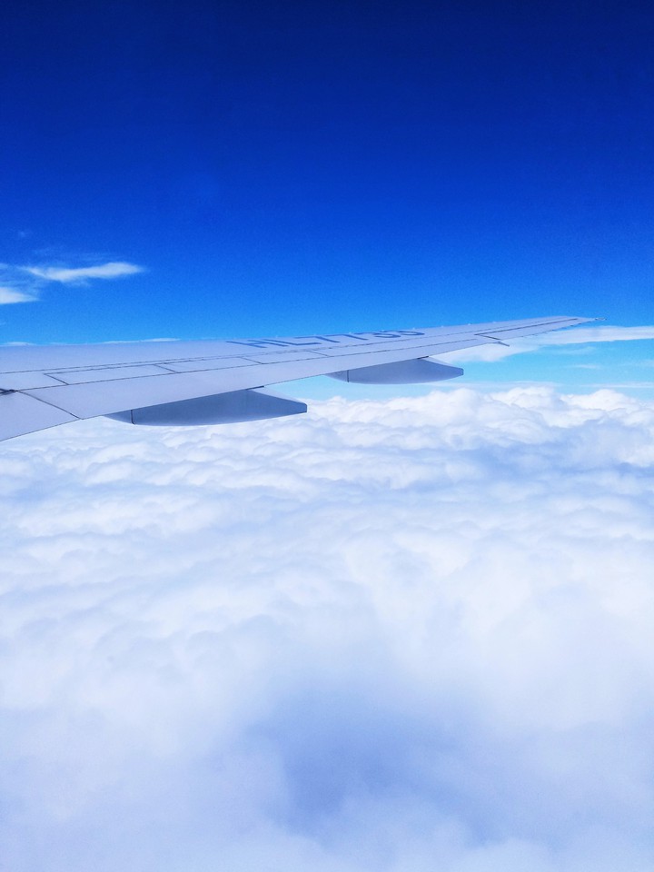 비행기 in airplane