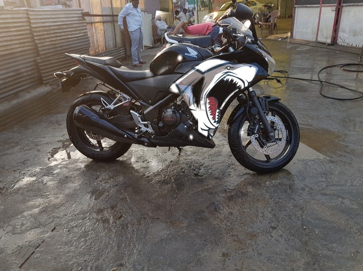 shark edition Cbr 250r