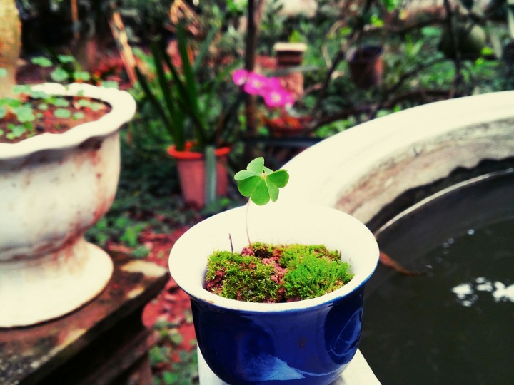 bí mật của may mắn