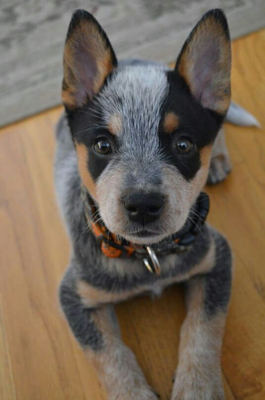 ❤_❤