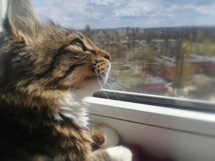 cute