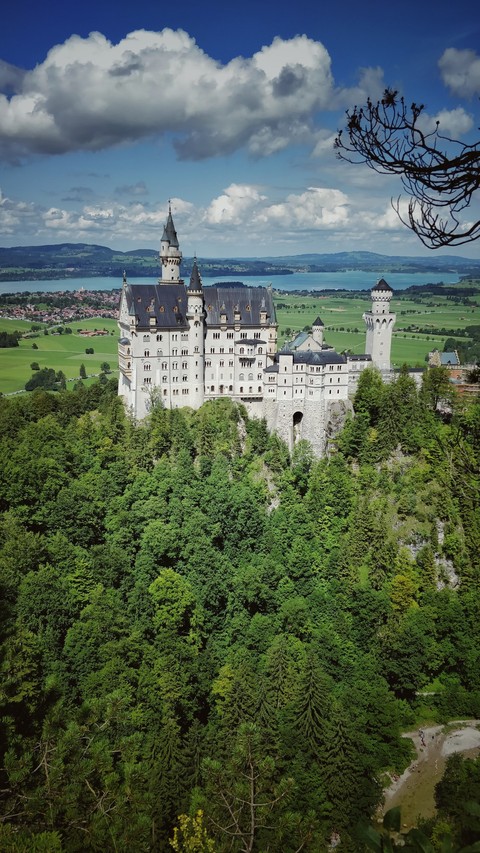 Castle Wallpaper