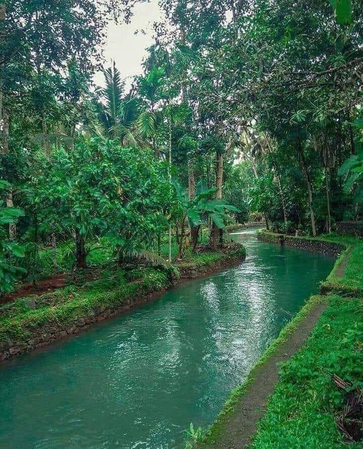 Nature