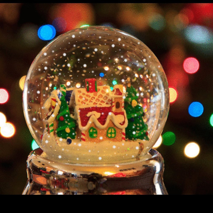 ♥️ Christmas  Forever