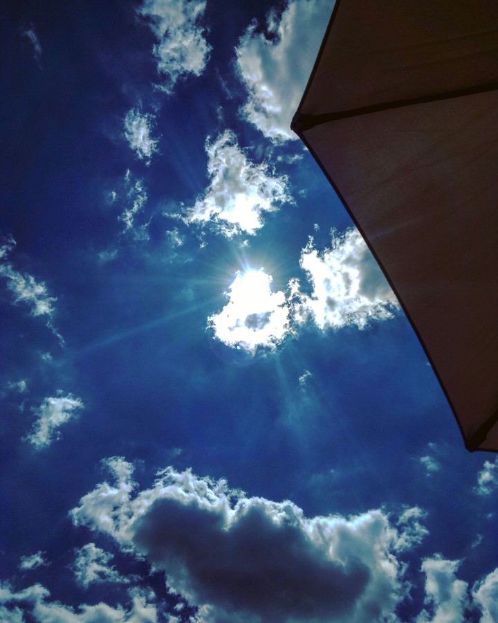 Sunny day