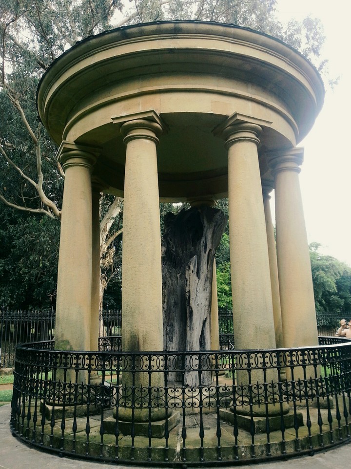El árbol de Guernica