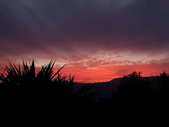 pink sunset