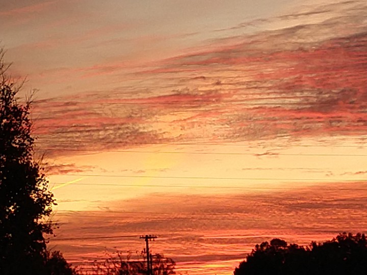 Shades of Red