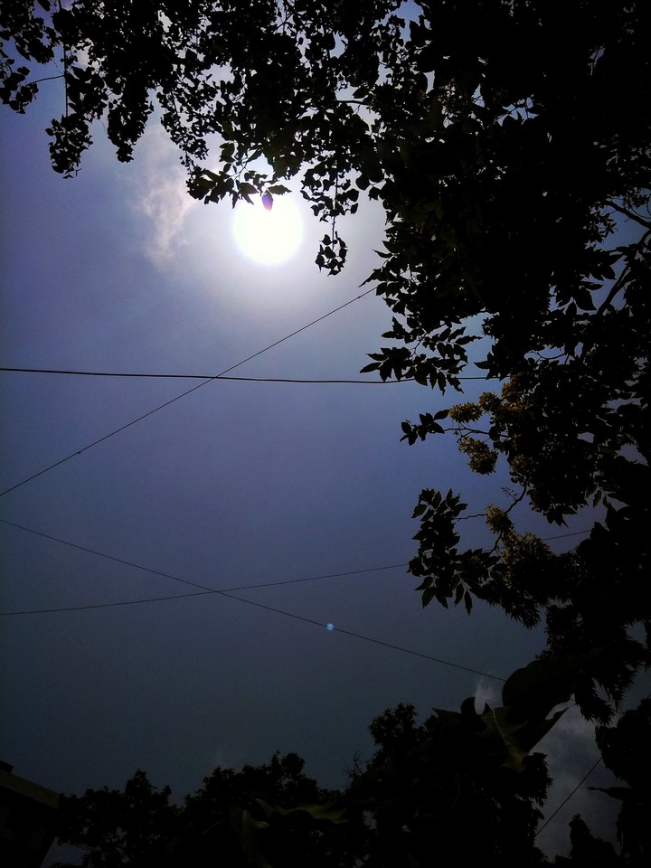 I find happiness where the sun shines