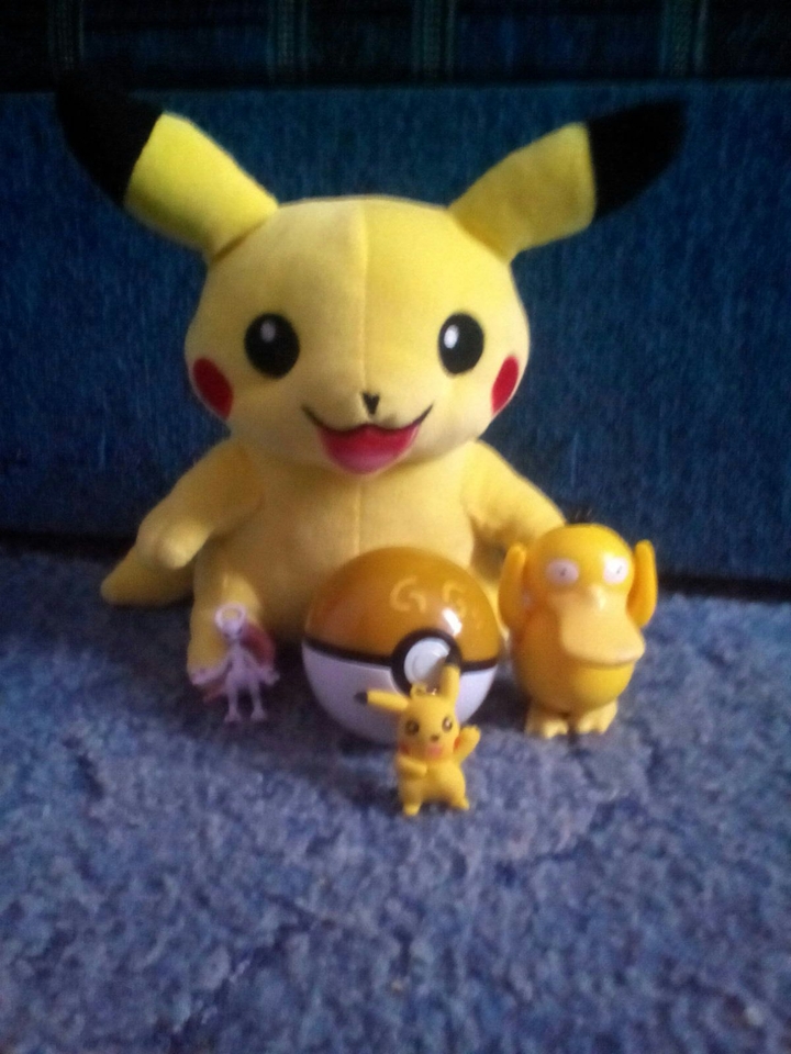 My Pokémon
