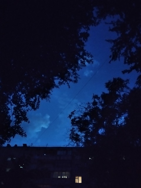 night