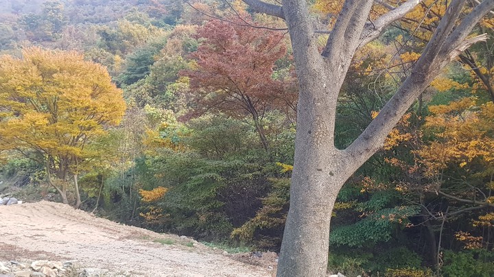 자연의 풍경