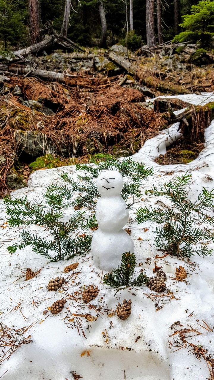 snowman