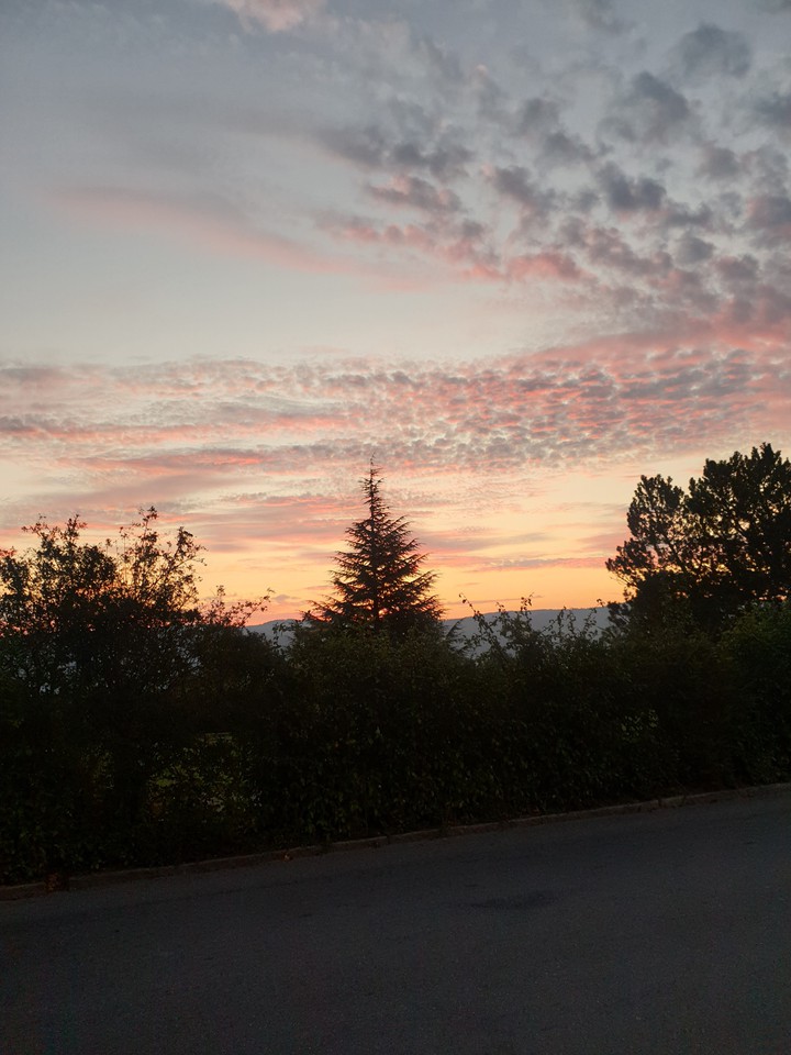 morning